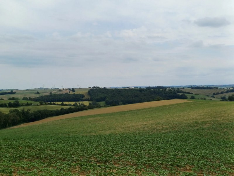 Location de trottinettes électriques Toulouse E-TROTT LAURAGAIS
