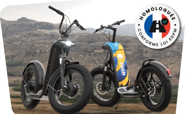 Elégance et robustesse à la Française. 